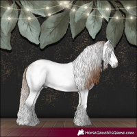 Horse Color:Gray White Spotted Liver Red Dun Splash Rabicano