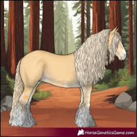 Horse Color:White Spotted Palomino Dun 
