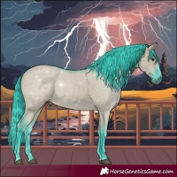 Horse Color:Watercolor Grullo 