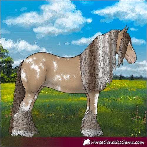 Horse Color:White Spotted Classic Cream Champagne