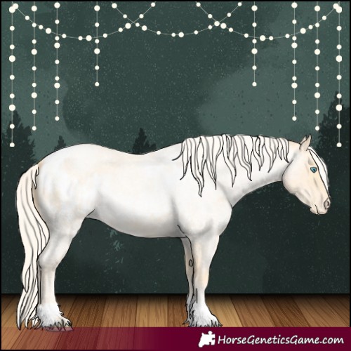 Horse Color:Palomino Roan Pearl  and Palomino Roan Pearl Appaloosa 
