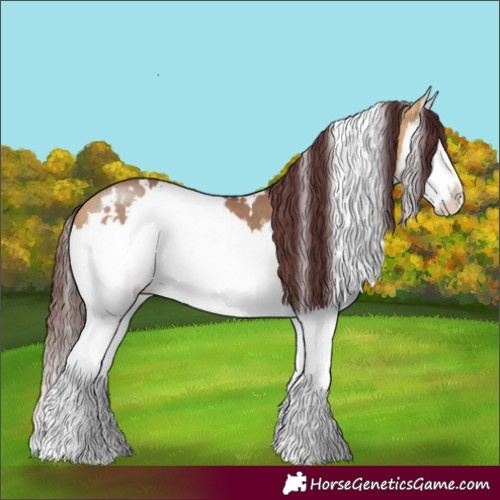 Horse Color:White Spotted Chocolate Buckskin Dun Splash 