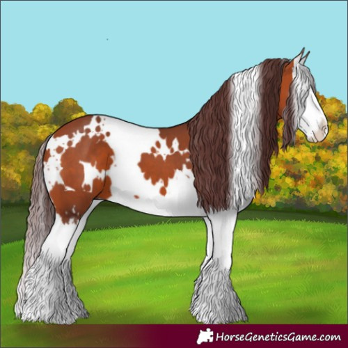 Horse Color:White Spotted Chocolate Bay Splash 