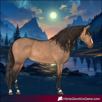 Horse Color:Bay Dun 