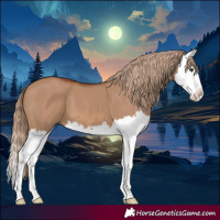 Horse Color:Red Dun Splash