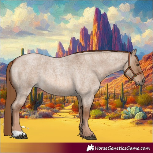 Horse Color:Red Dun Roan 