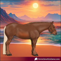 Horse Color:Chestnut 