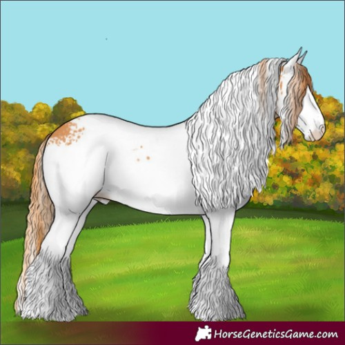 Horse Color:White Spotted Chestnut 