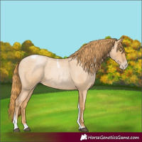 Horse Color:Red Roan Pearl Tobiano Frame 