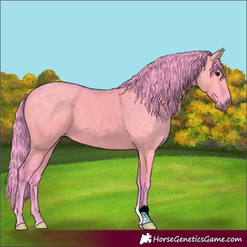 Horse Color:Watercolor Grullo 