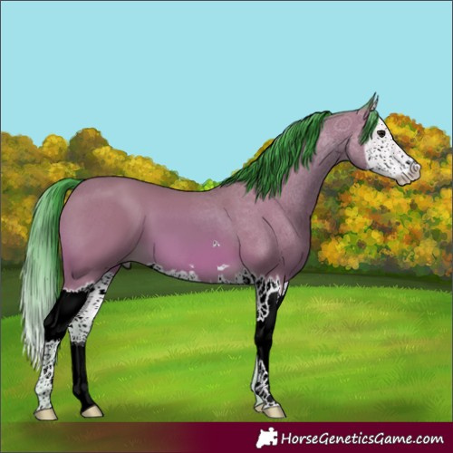 Horse Color:Watercolor Bay Splash 