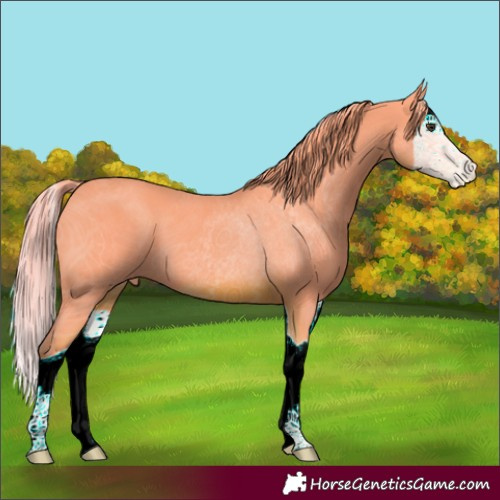 Horse Color:ERROR: UNKNOWN ANOMALY