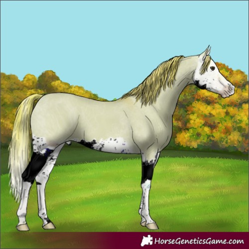 Horse Color:ERROR: UNKNOWN ANOMALY