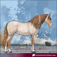 Horse Color:Red Roan Pearl Tobiano Frame 