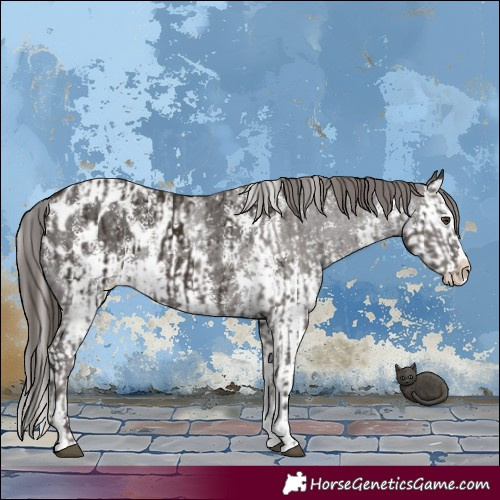 Horse Color:Liver Chestnut Sabino Splash Blanket  and Liver Chestnut Sabino Splash Blanket 