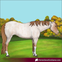 Horse Color:Red Roan Pearl Tobiano Frame 
