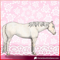 Horse Color:Palomino Roan Pearl  and Palomino Roan Pearl Splash 