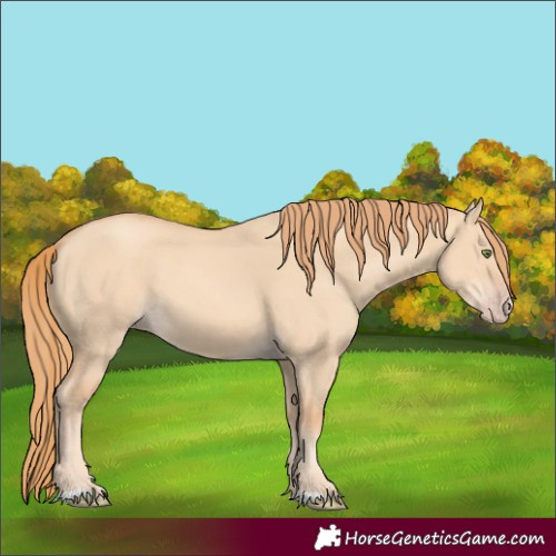 Horse Color:Gold Champagne Dun 