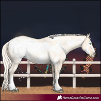 Horse Color:Palomino Roan Pearl  and Palomino Roan Pearl Frame 