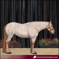 Horse Color:Red Dun Roan