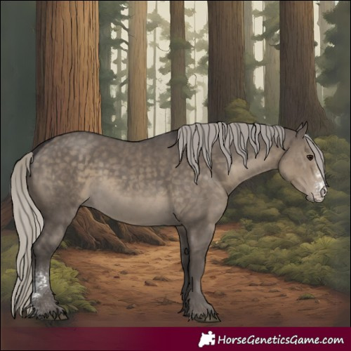 Horse Color:Silver Smoky Grullo Sabino 
