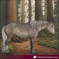 Horse Color:Silver Smoky Grullo Sabino 