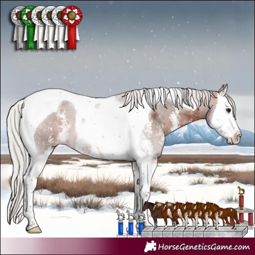 Horse Color:Silver Brown Sabino Splash Tobiano 