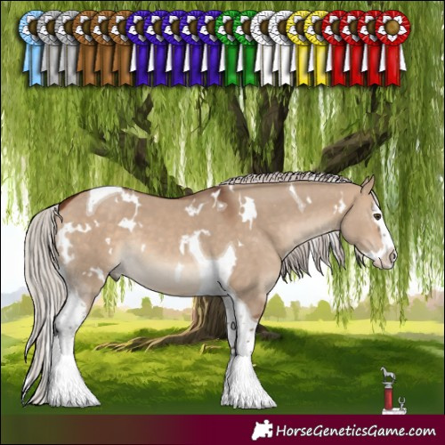 Horse Color:White Spotted Silver Bay Dun Splash Tobiano 