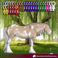 Horse Color:White Spotted Silver Bay Dun Splash Tobiano 