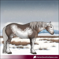 Horse Color:White Spotted Silver Black Sabino 
