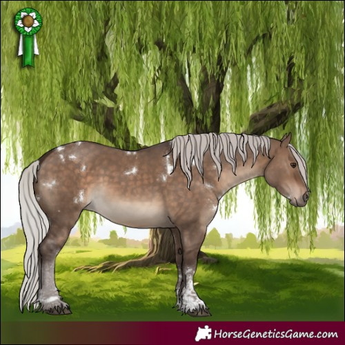 Horse Color:White Spotted Silver Brown Dun Sabino 