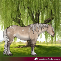 Horse Color:White Spotted Silver Brown Dun Sabino