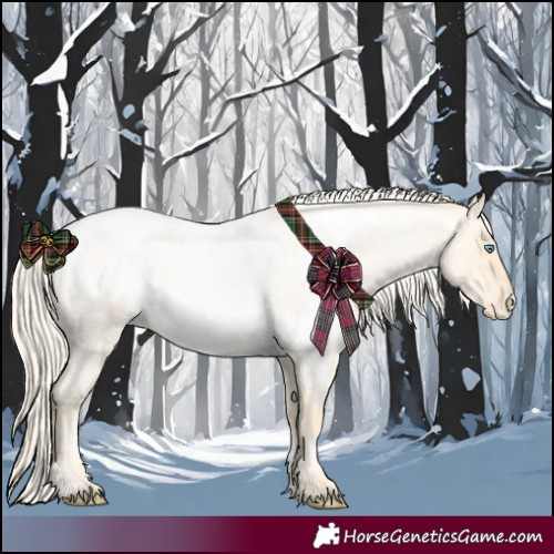Horse Color:Palomino Roan Pearl Dun  and Palomino Roan Pearl Dun Appaloosa 