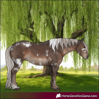 Horse Color:White Spotted Silver Black Sabino 