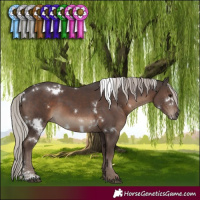 Horse Color:White Spotted Silver Black Sabino 