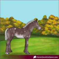 Horse Color:White Spotted Chocolate Silver Black Chinchilla 