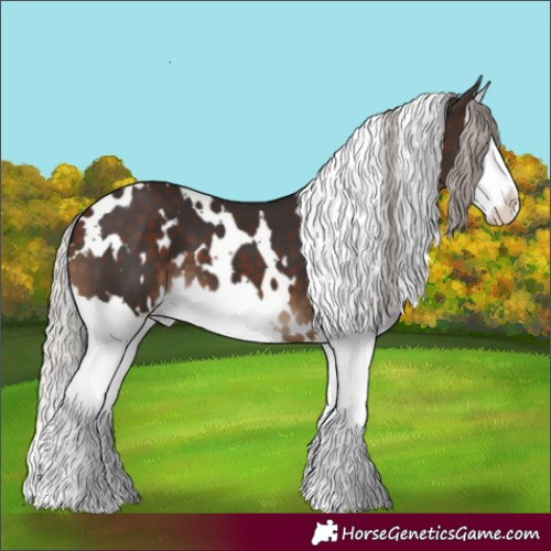 Horse Color:White Spotted Silver Brown Splash 