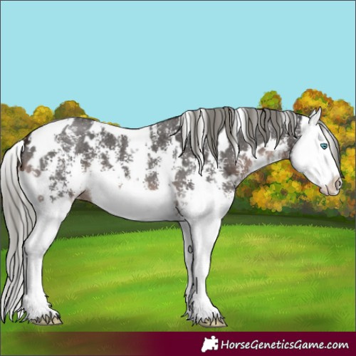 Horse Color:White Spotted Liver Chestnut Mushroom Sabino Splash 