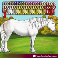 Horse Color:Gray White Spotted Silver Sable Cream Champagne Splash 