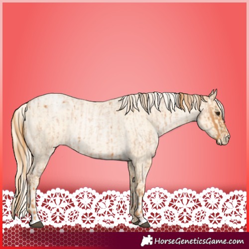 Horse Color:Red Roan  and Palomino Roan Pearl 