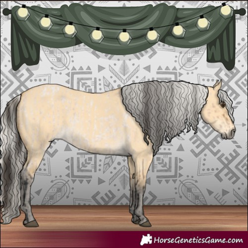 Horse Color:Bay Roan Dun and Silver Buckskin Dun
