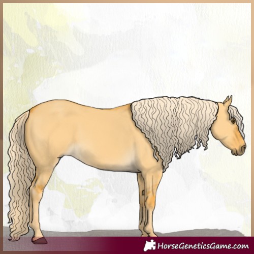Horse Color:Palomino Dun 