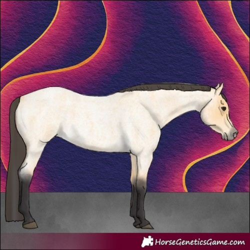 Horse Color:Buckskin Roan 