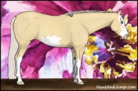 Horse Color:Silver Classic Cream Champagne Dun Splash Frame 