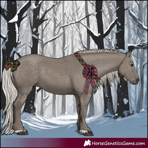 Horse Color:Silver Grullo 