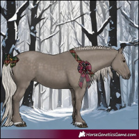 Horse Color:Silver Grullo 