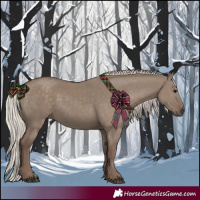 Horse Color:Silver Grullo 