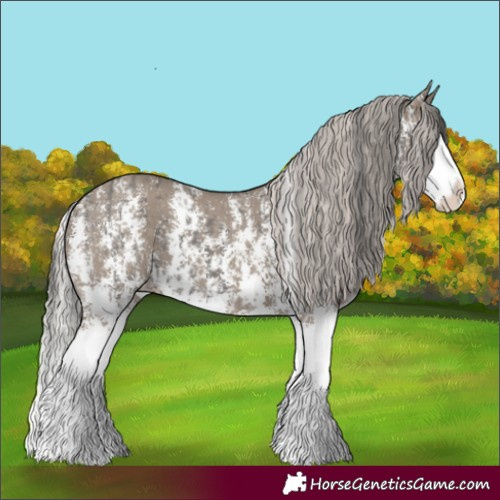 Horse Color:Grullo Sabino Splash  and Silver Grullo Sabino Splash 