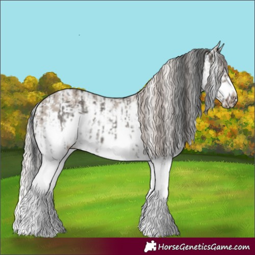 Horse Color:Grullo Sabino Splash Frame  and Silver Grullo Sabino Splash Frame 