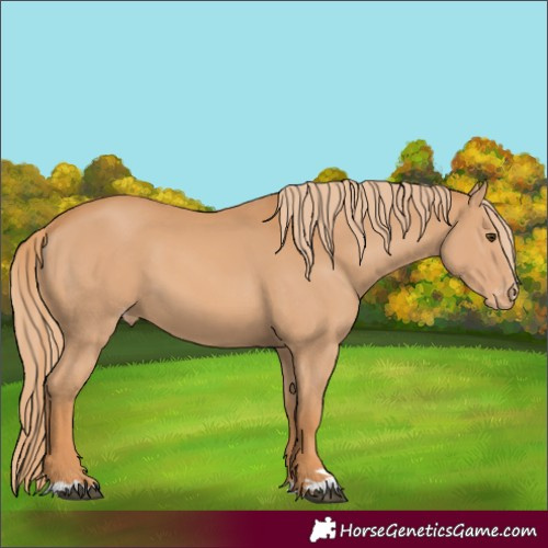 Horse Color:Chestnut Varnish 